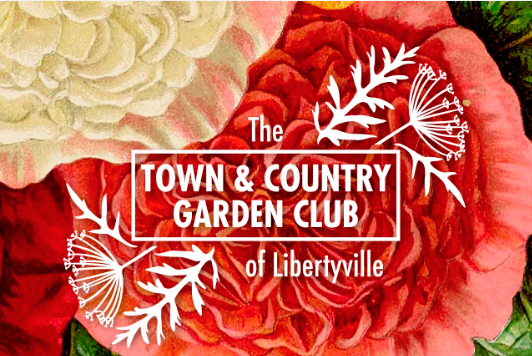 The Town Country Garden Club Of Libertyville Mainstreet