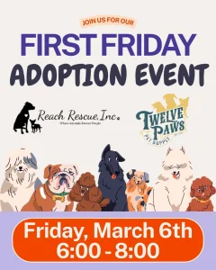 Advertisement by Twelve Paws petshop promoting their dog adoptions with Reach Rescue during First Fridays in downtown Libertyville.
