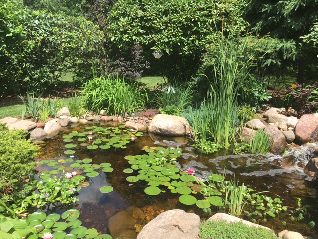 GardenWalkPic1 GardenWalkPic1