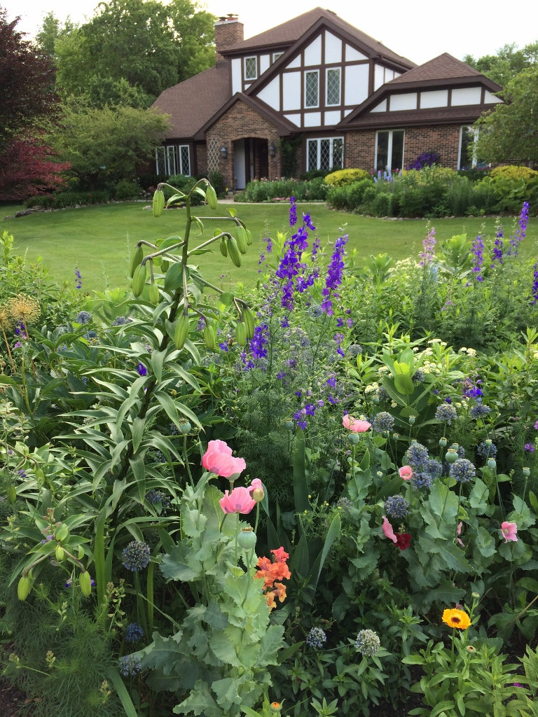 GardenWalkPic5-768x1024 GardenWalkPic5-768x1024