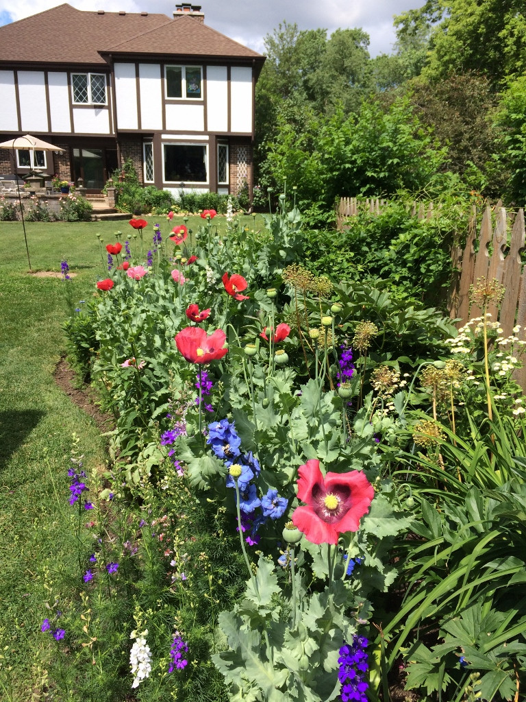 GardenWalkPic6-768x1024 GardenWalkPic6-768x1024