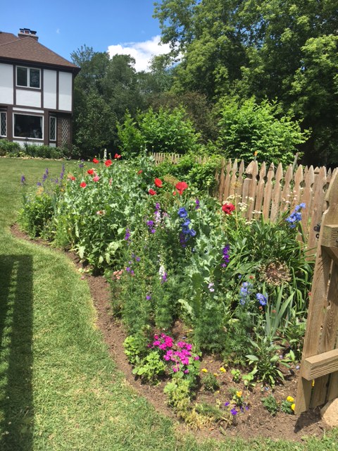 GardenWalkpic2 GardenWalkpic2