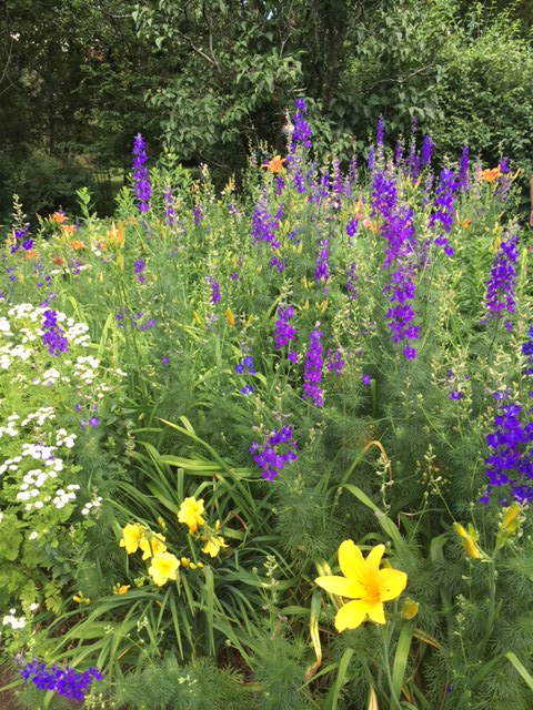 GardenWalkpic3 GardenWalkpic3