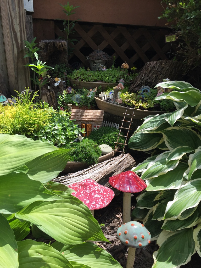 TownCountryGardenPic2JULY26-768x1024 TownCountryGardenPic2JULY26-768x1024