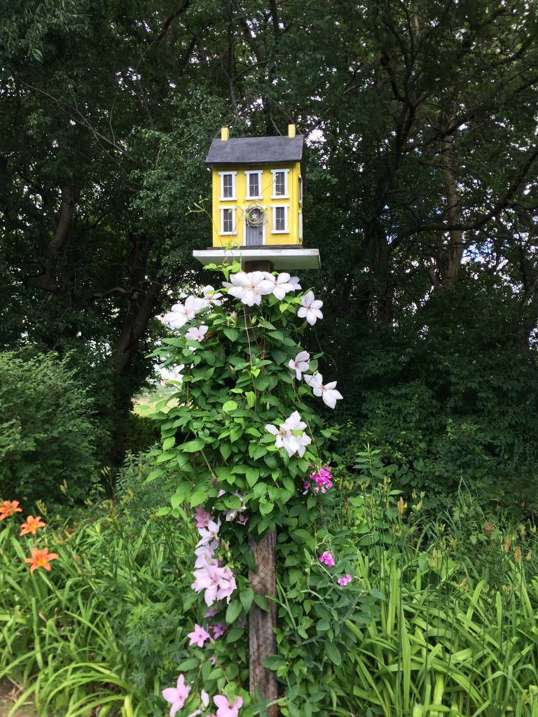 TownCountryGardenPic3July26-768x1024 TownCountryGardenPic3July26-768x1024